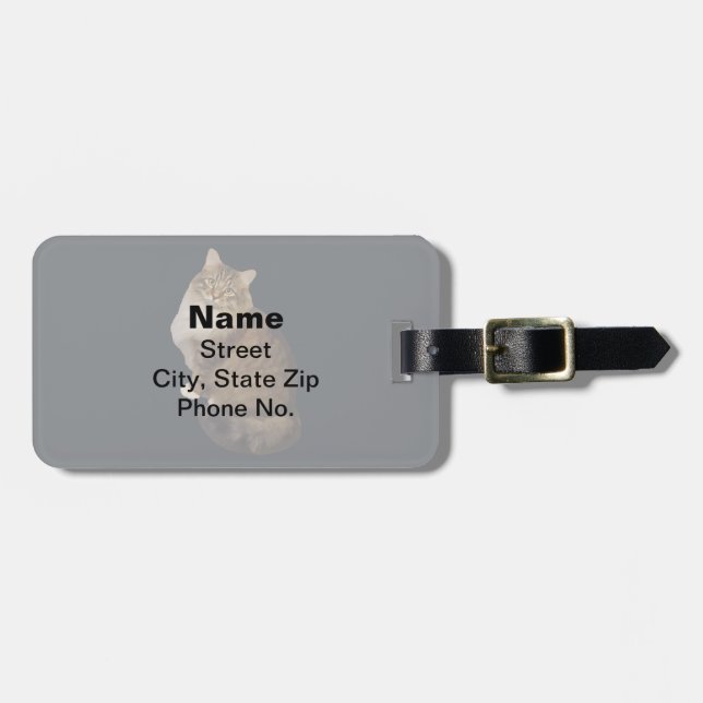 Maine Coon Kattporträtt Bagagebricka (Horisontell Framsida)