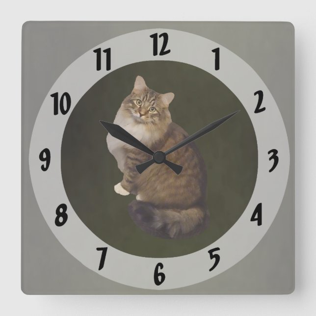 Maine Coon Kattporträtt Fyrkantig Klocka (Framsida)