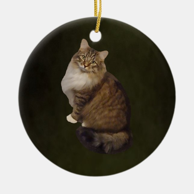 Maine Coon Kattporträtt Julgransprydnad Keramik (Framsidan)