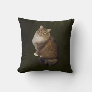 Maine Coon Kattporträtt Kudde