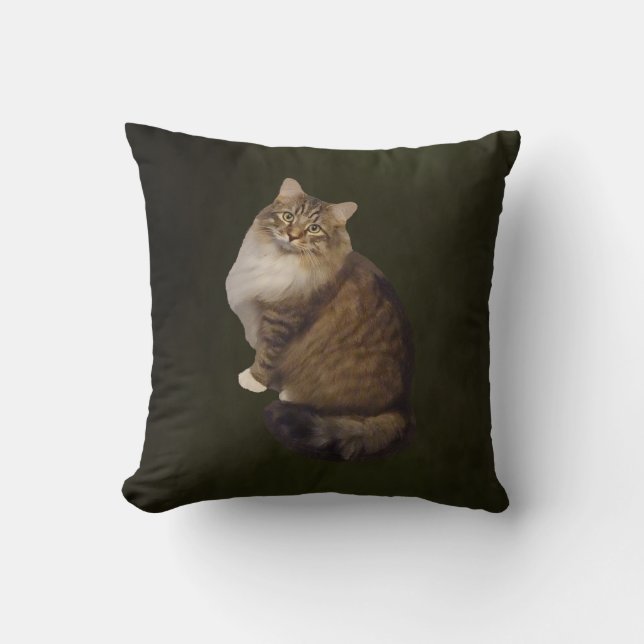 Maine Coon Kattporträtt Kudde (Framsida)