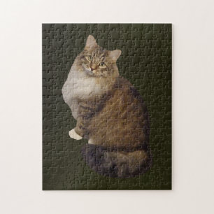 Maine Coon Kattporträtt Pussel