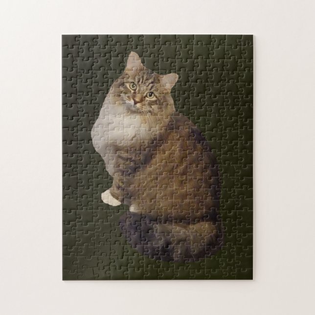 Maine Coon Kattporträtt Pussel (Vertikal)