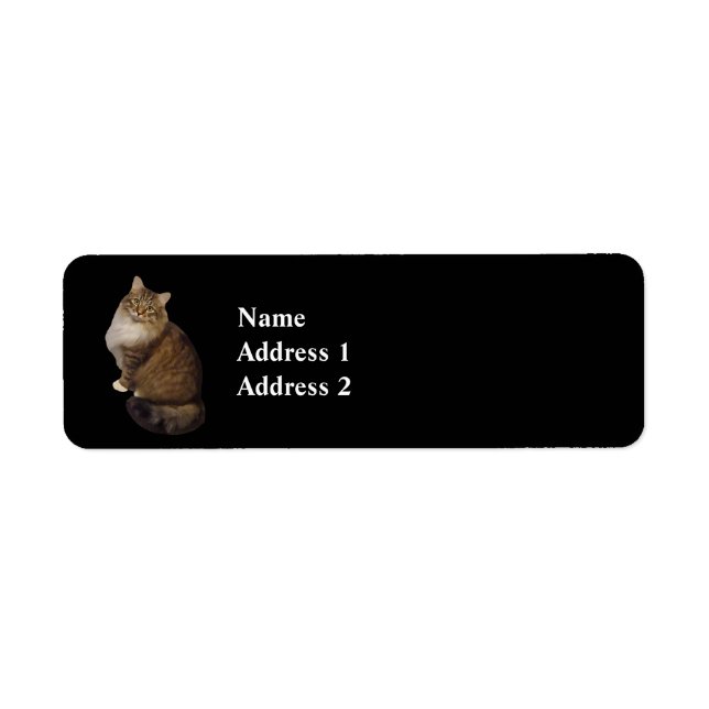 Maine Coon Kattporträtt Returadress Etikett (Framsidan)