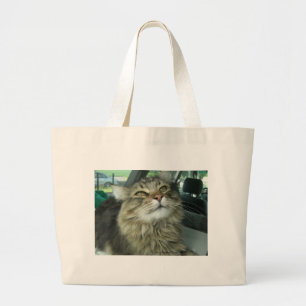 Maine Coon kattunge Jumbo Tygkasse