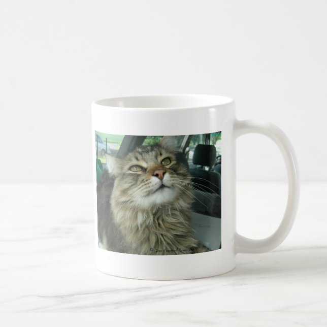 Maine Coon kattunge Kaffemugg (Höger)