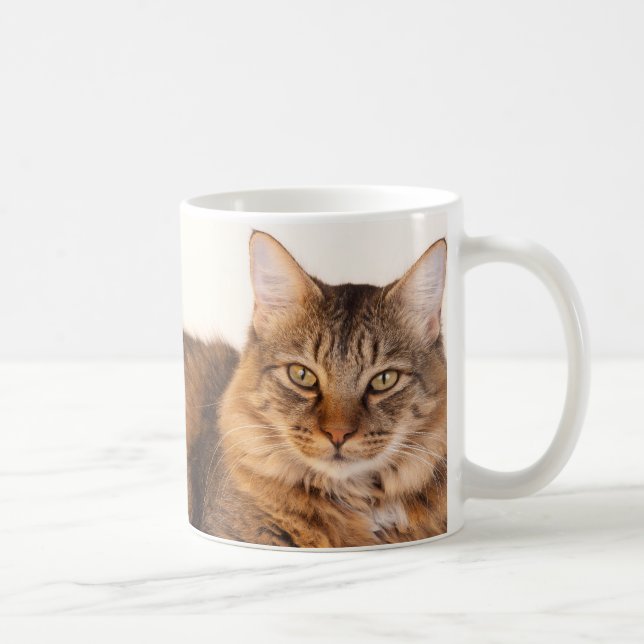 Maine Coon Kattunge Kaffemugg (Höger)