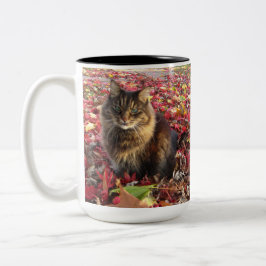 Maine Coon Kattunge Två-Tonad Mugg