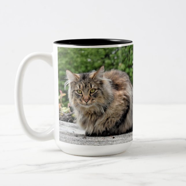 Maine Coon Kattunge Två-Tonad Mugg (Vänster)