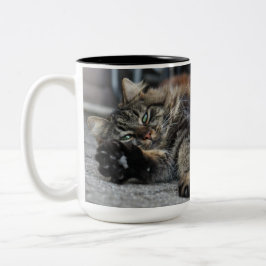 Maine Coon Kattunge Två-Tonad Mugg