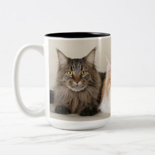Maine Coon Kattunge Två-Tonad Mugg