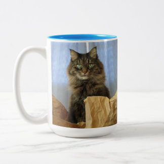 Maine Coon Kattunge Två-Tonad Mugg