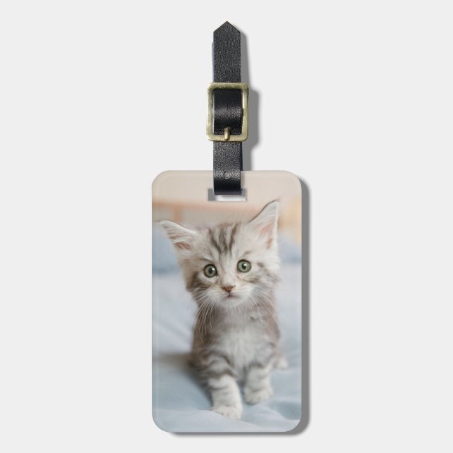 Maine Coon Kitten Bagagebricka (Vertikal Framsida)