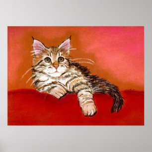 Maine Coon Kitten Cat Porträtt Poster
