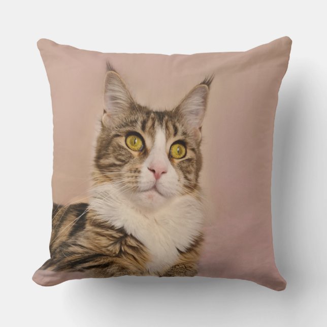 Maine Coon kitten porträtt Kudde (Framsida)