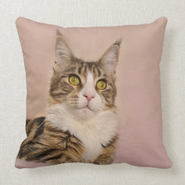 Maine Coon kitten porträtt Kudde