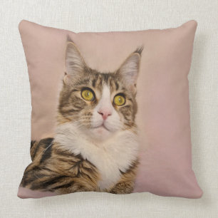 Maine Coon kitten porträtt Kudde