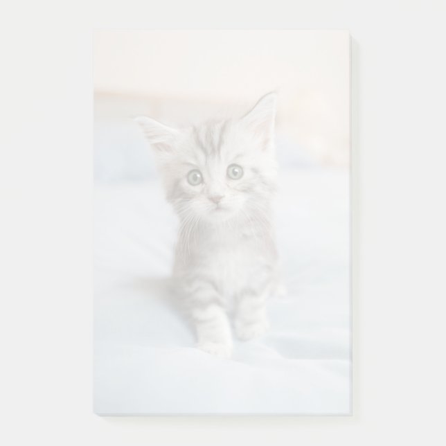 Maine Coon Kitten Post-it Block (Framsida)