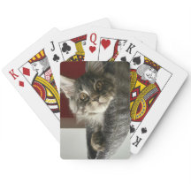 Maine Coon Kitten Spelkort