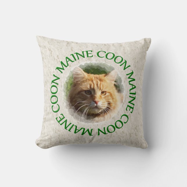 maine coon kudde (Framsida)