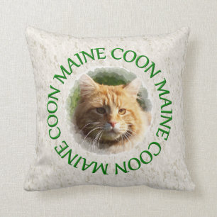 maine coon kudde