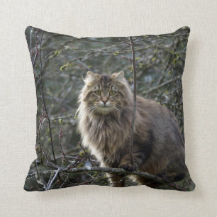 Maine Coon Long-hair Tabby katt Animal Pet Kudde