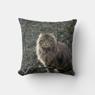 Maine Coon Long-hair Tabby katt Animal Pet Kudde