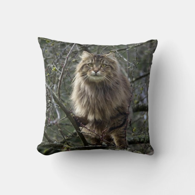 Maine Coon Long-hair Tabby katt Animal Pet Kudde (Framsida)