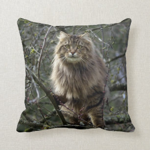 Maine Coon Long-hair Tabby katt Animal Pet Kudde