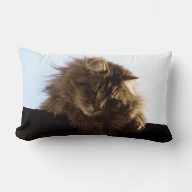Maine Coon Long-hair Tabby katt Animal Pet Lumbarkudde (Framsida)