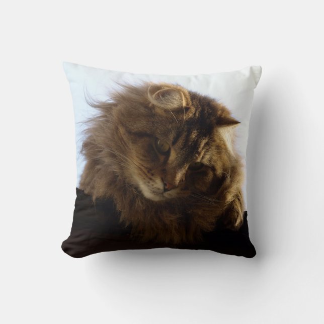 Maine Coon Long-hair Tabby katt Kudde (Framsida)