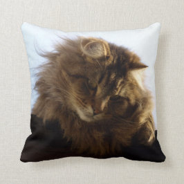 Maine Coon Long-hair Tabby katt Kudde