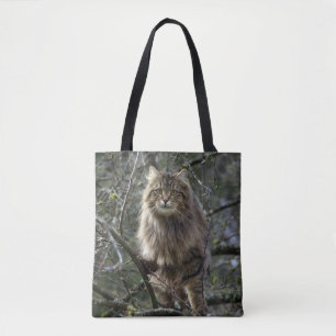 Maine Coon Long-hair Tabby katt Tygkasse