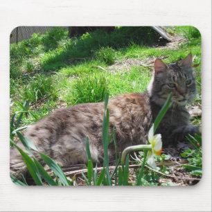 Maine Coon Mouse Pad Musmatta