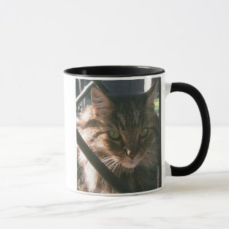 Maine Coon (muggen) Mugg