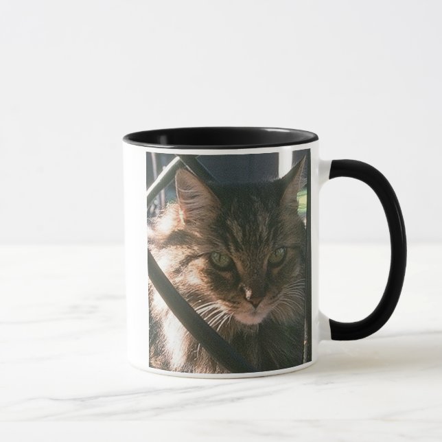 Maine Coon (muggen) Mugg (Höger)