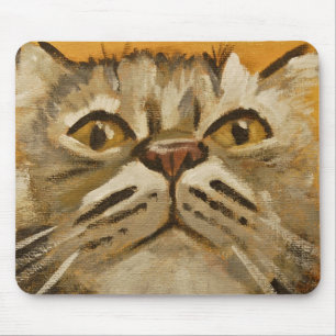 Maine Coon Musmatta