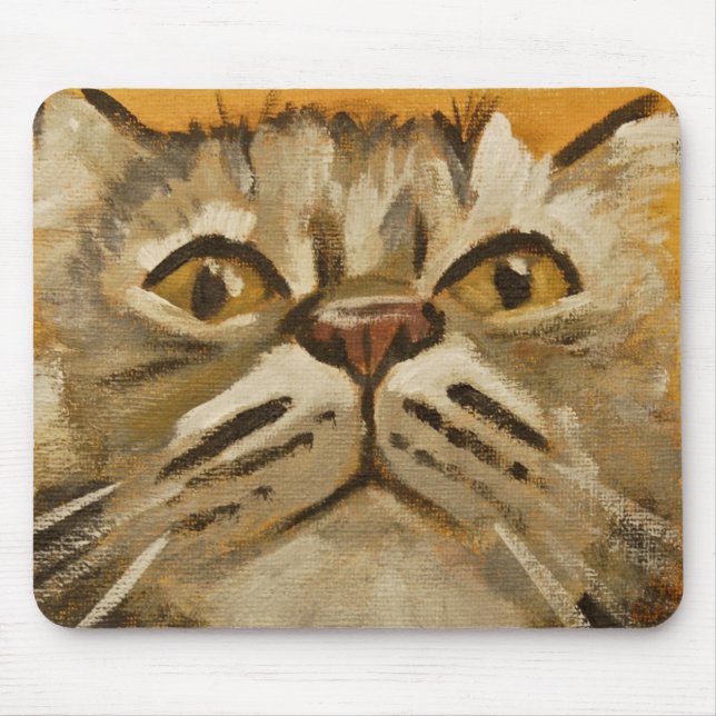 Maine Coon Musmatta (Framsidan)