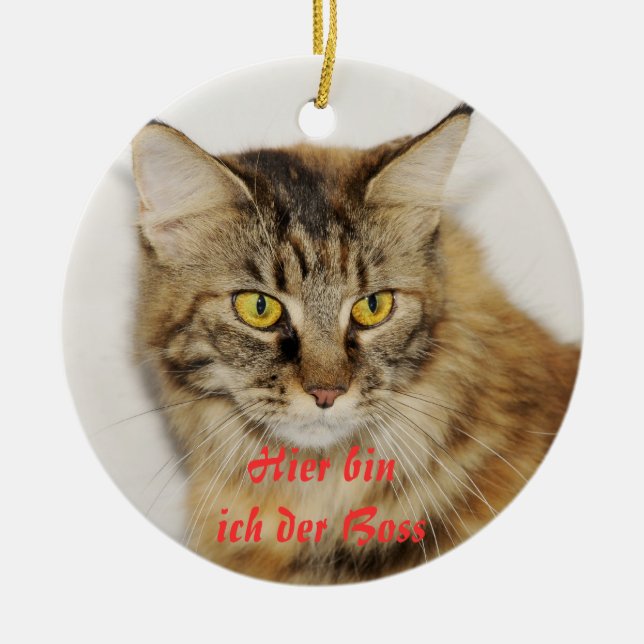 Maine Coon Ornament (Framsidan)