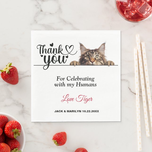 Maine Coon Peeking Cat Pappra Napkins Pappersservett (Insitu)