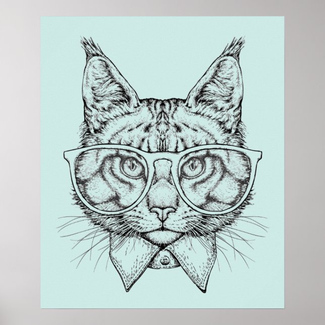Maine Coon Porträtt Poster (Framsidan)