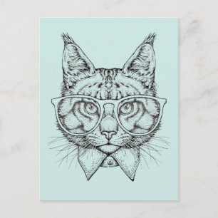 Maine Coon Porträtt Vykort