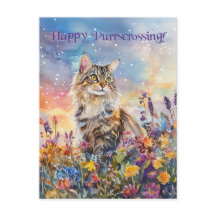 Maine Coon Postcross - vykort