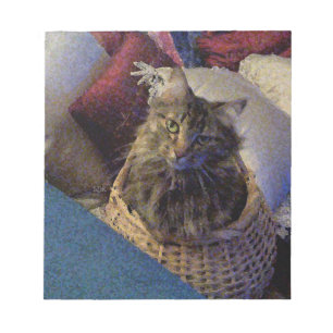 Maine Coon Tabby katt Anteckningsblock