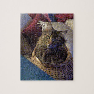 Maine Coon Tabby katt Pussel