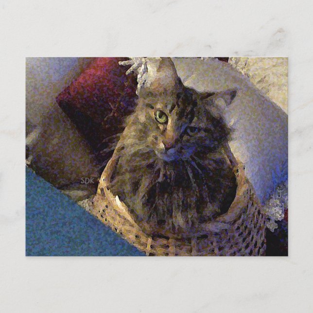 Maine Coon Tabby katt Vykort (Framsida)