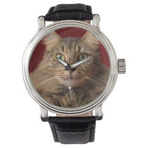 Maine Coon till jul med samlare Armbandsur