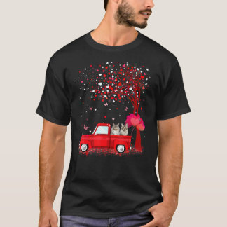 Maine Coon Valentine Day S Cats Red Lastbil Hearts T Shirt