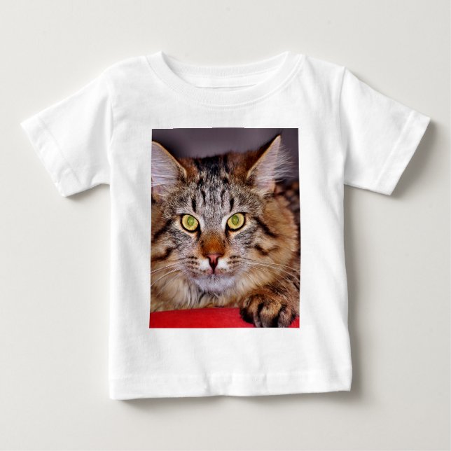 Maine-Coone katt Tee Shirt (Framsida)