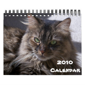 Maine Coonkalender 2010 Kalender